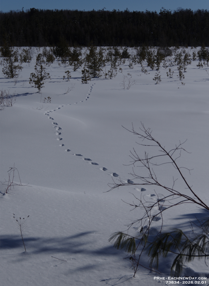 73834PeCrLe - A lovely Sunday afternoon walk with Beth at the George Langman Sanctuary